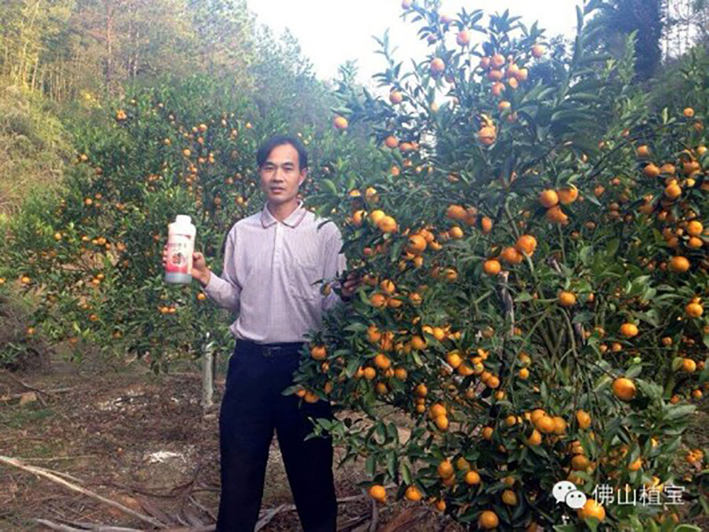 佛山市植寶生態(tài)科技有限公司