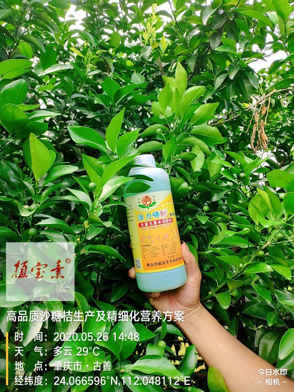 佛山市植寶生態(tài)科技有限公司