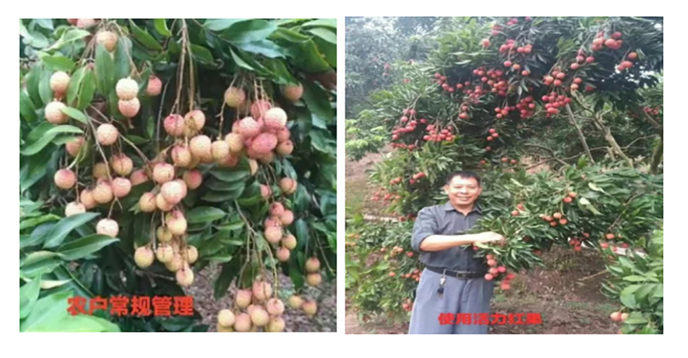 佛山市植寶生態(tài)科技有限公司