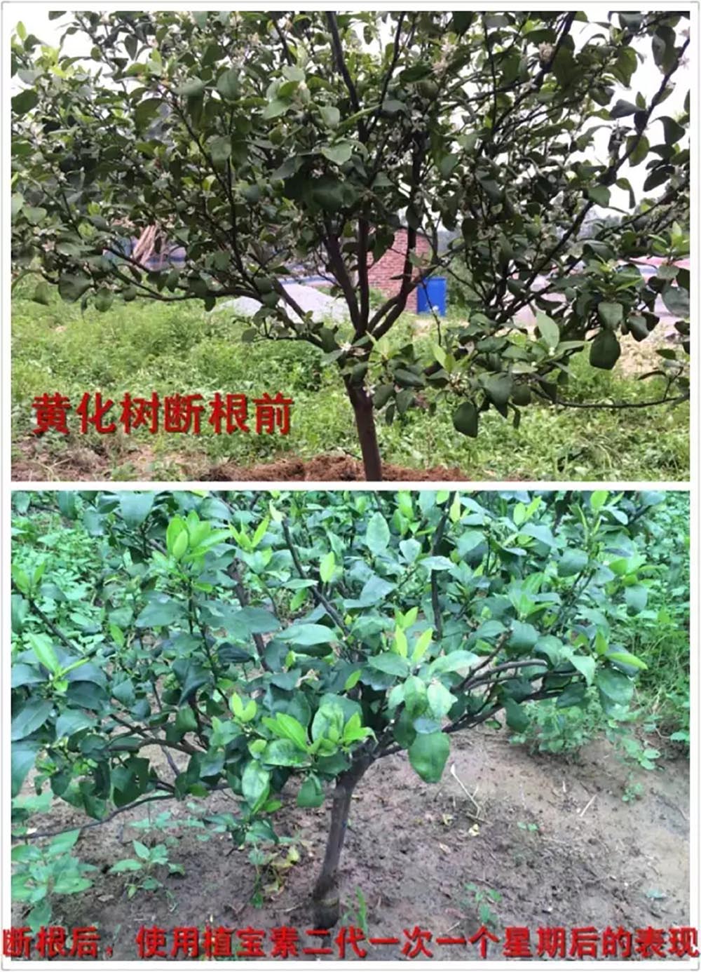 佛山市植寶生態(tài)科技有限公司