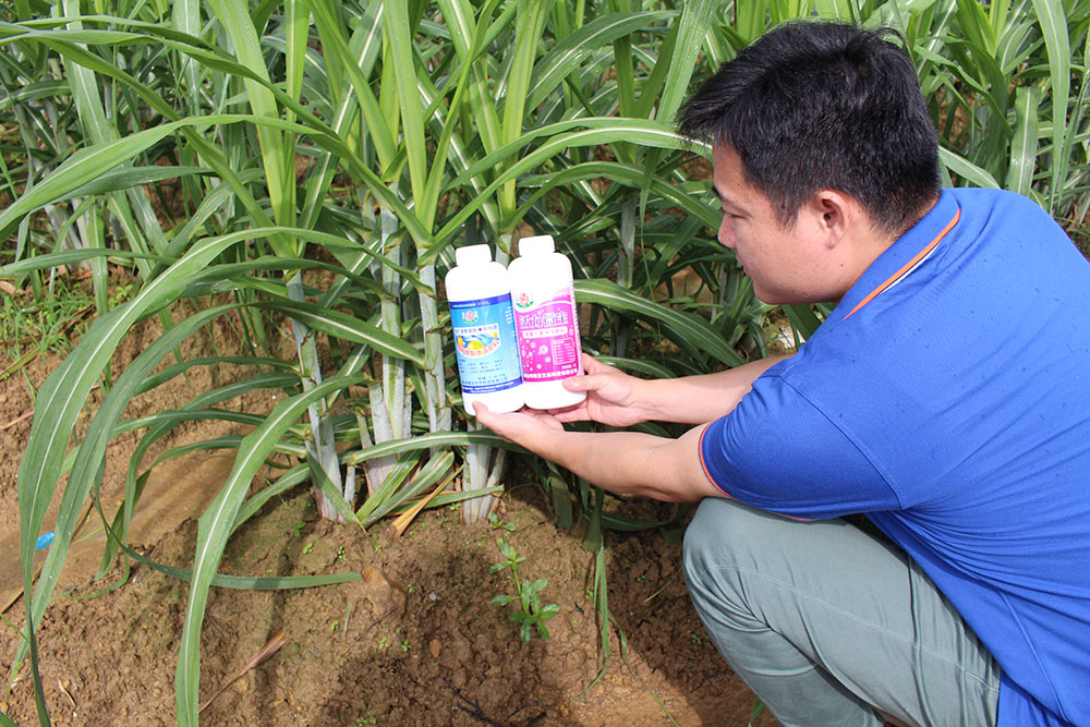佛山市植寶生態(tài)科技有限公司
