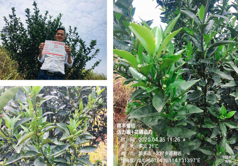 佛山市植寶生態(tài)科技有限公司