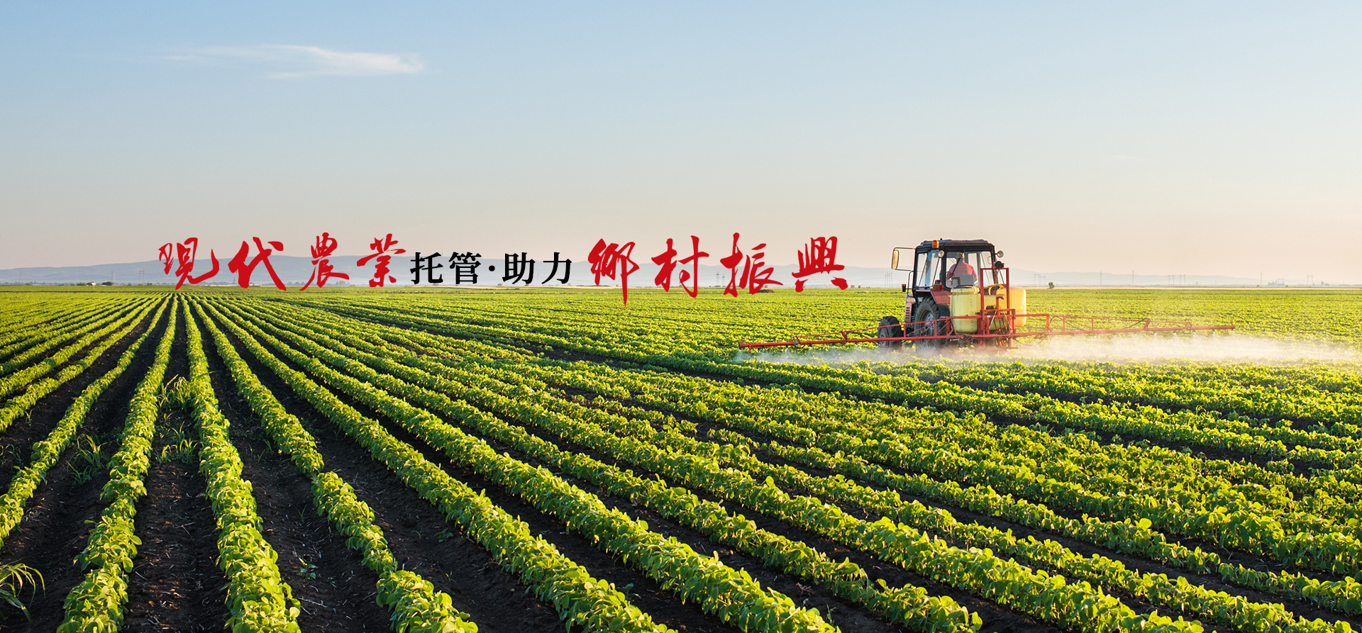 農(nóng)用微生物菌劑是農(nóng)藥么? 農(nóng)用微生物菌劑是農(nóng)藥么?