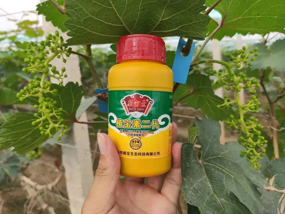 佛山市植寶生態(tài)科技有限公司