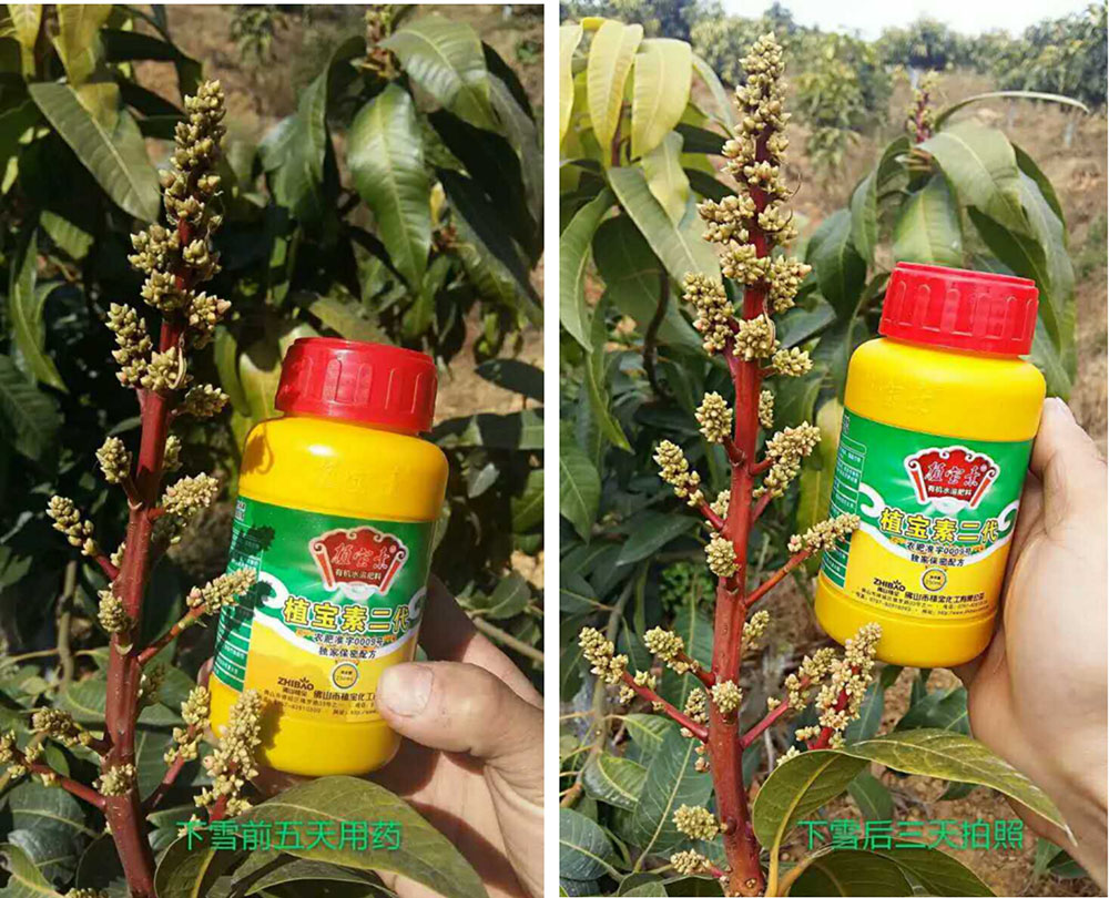 佛山市植寶生態(tài)科技有限公司