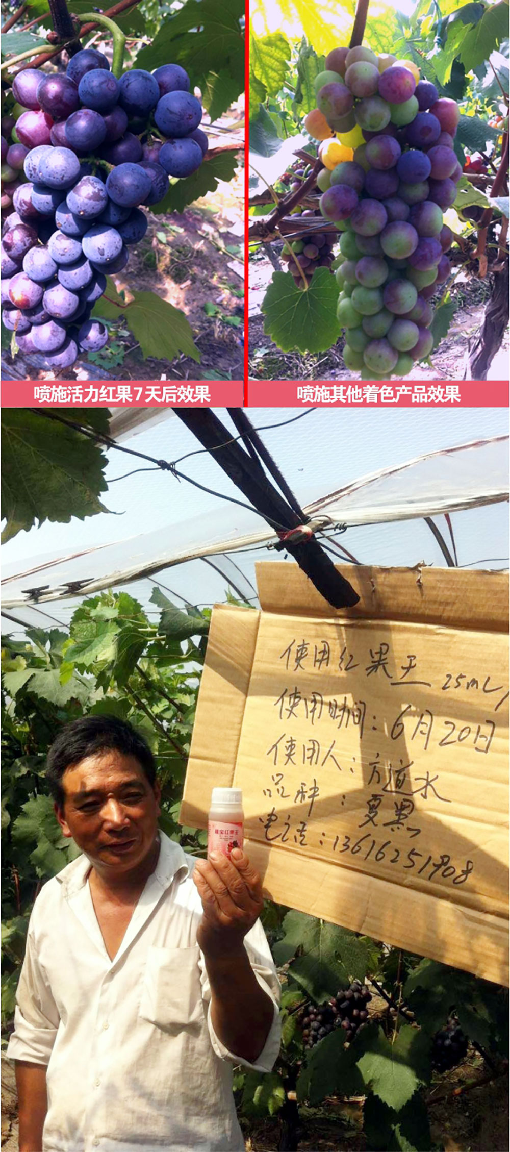 佛山市植寶生態(tài)科技有限公司