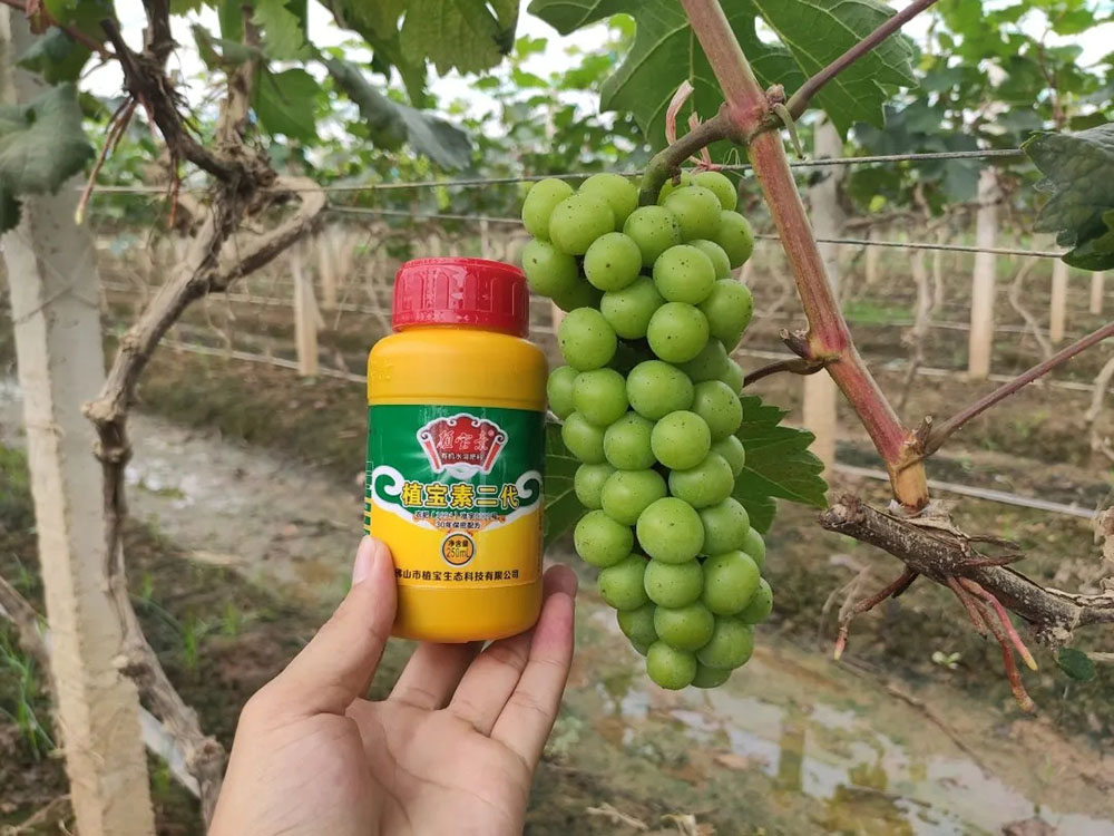 佛山市植寶生態(tài)科技有限公司