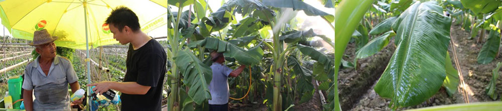 佛山市植寶生態(tài)科技有限公司